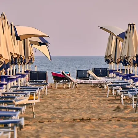 Bright And Cosy In Lido Dei Pini * 比比翁