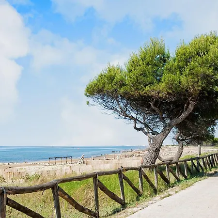 公寓 Bright And Cosy In Lido Dei Pini 比比翁